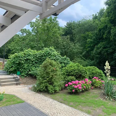 Apartament Nr 3 גדינייה